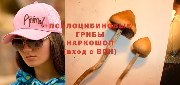 каннабис Аркадак