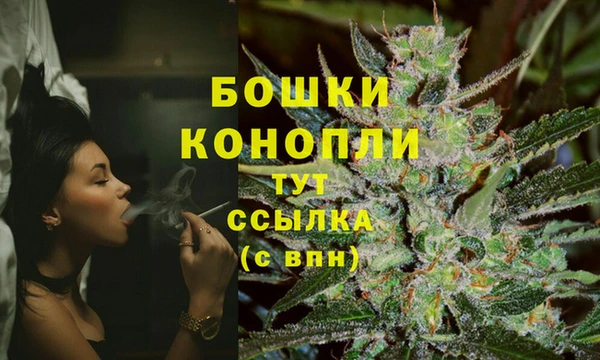 дмт Арсеньев