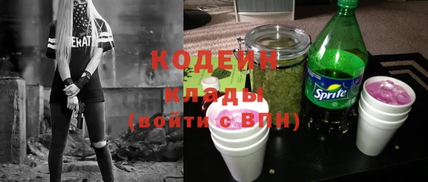 дмт Арсеньев