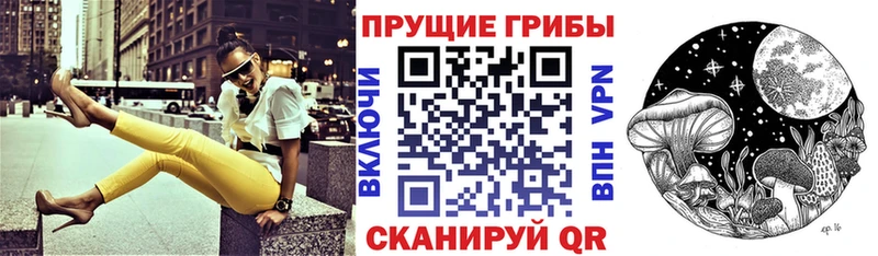 Псилоцибиновые грибы Psilocybe  Георгиевск 
