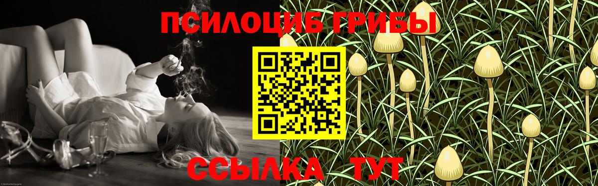 закладки  Галлюциногенные грибы MAGIC MUSHROOMS  Вход с VPN  Георгиевск 